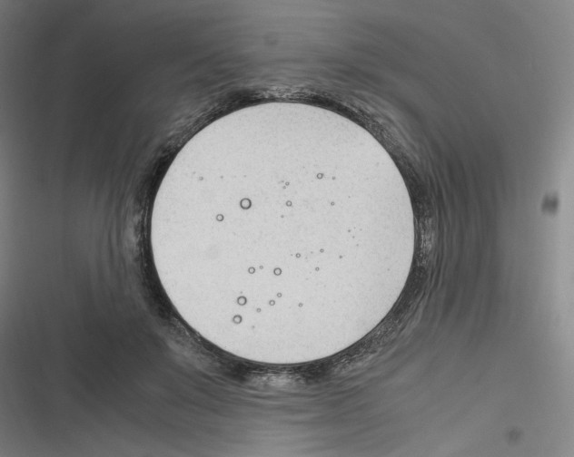 X0000116310503201001111141