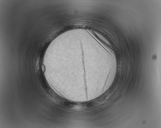 X0000116310504201001111141