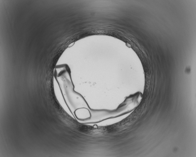 X0000116310505201001111141