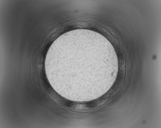 X0000116310507201001111141