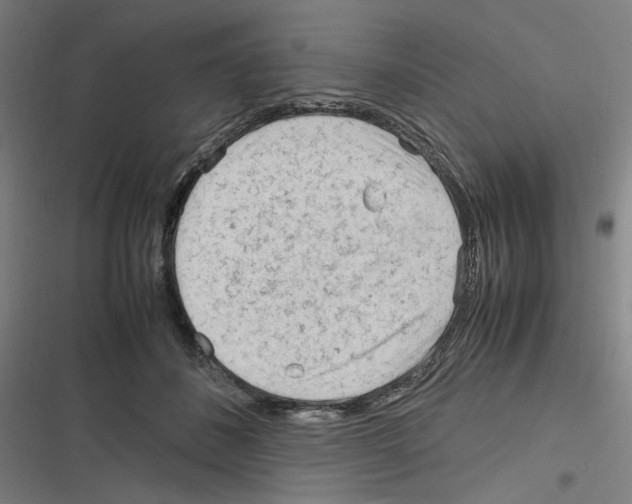 X0000116310508201001111141