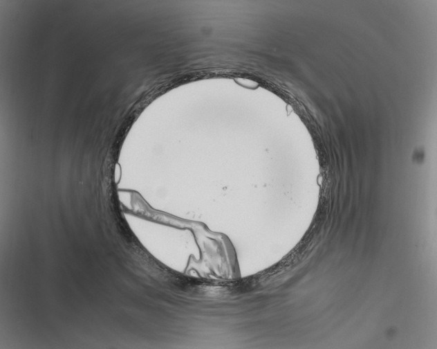 X0000116310509201001111141