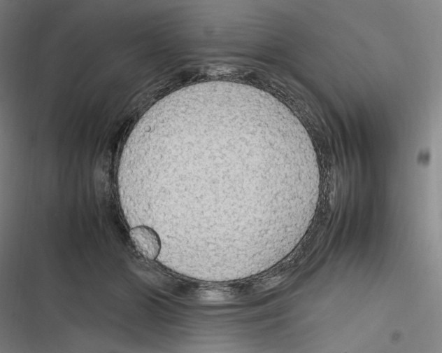 X0000116310510201001111141