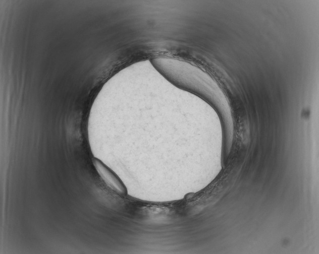 X0000116310512201001111141