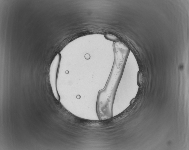 X0000116310513201001111141