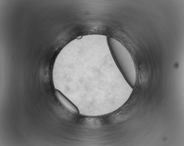 X0000116310520201001111141