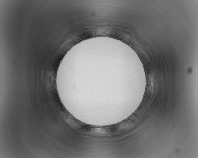 X0000116310522201001111141