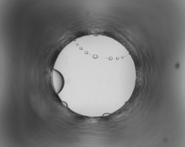 X0000116310523201001111141