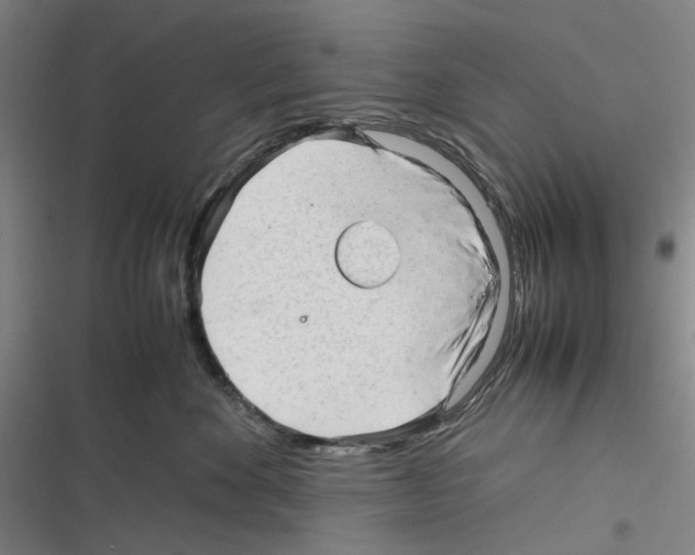 X0000116310524201001111141