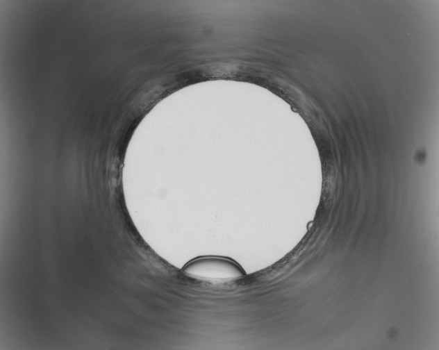 X0000116310525201001111141