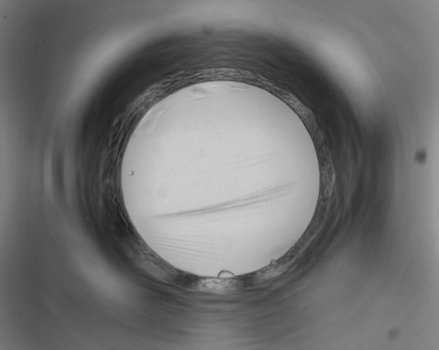 X0000116310526201001111141