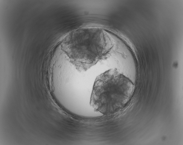 X0000116310529201001111140