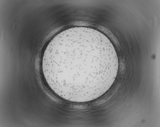 X0000116310533201001111140