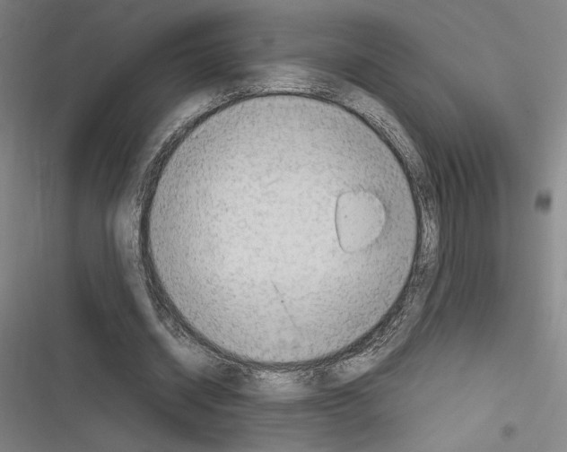 X0000116310534201001111140