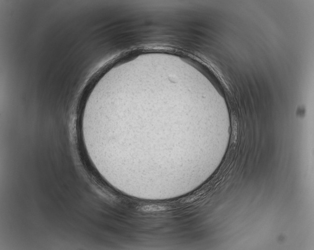 X0000116310535201001111140