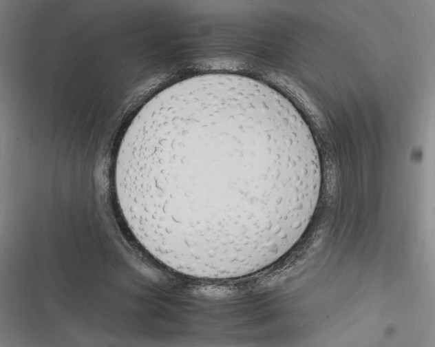 X0000116310537201001111140