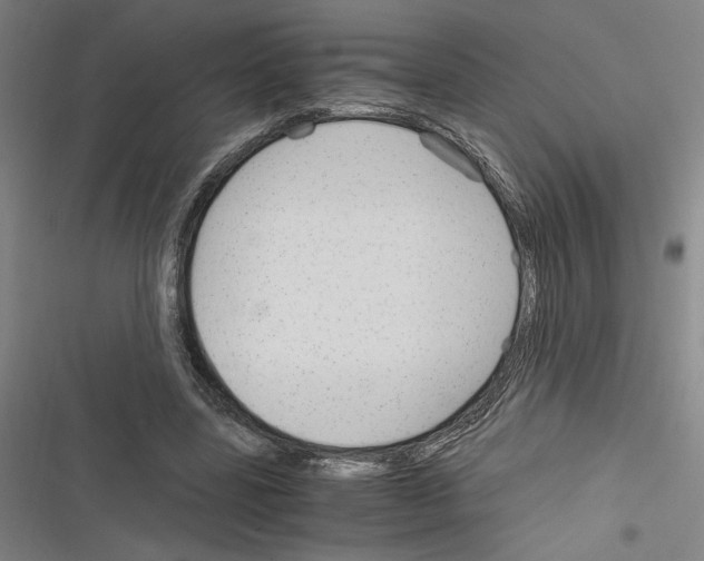 X0000116310539201001111140