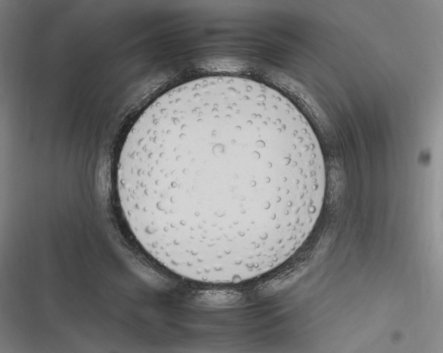 X0000116310541201001111140