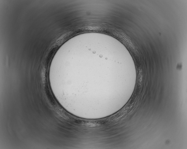 X0000116310542201001111140