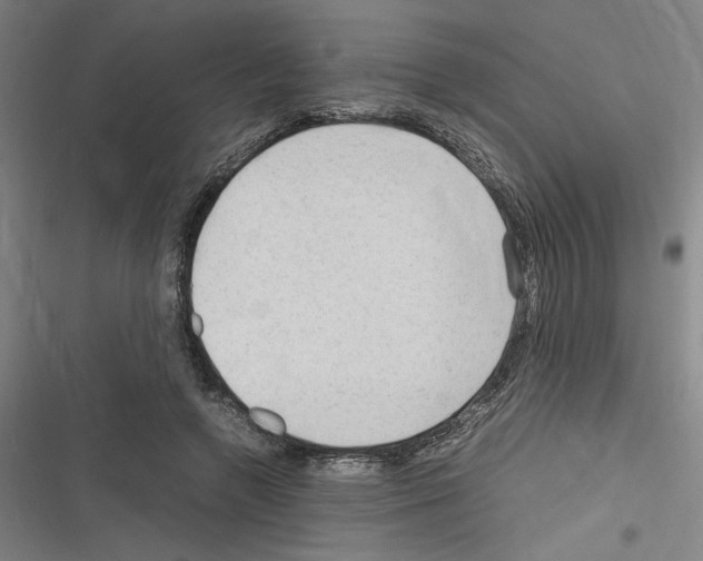 X0000116310546201001111140