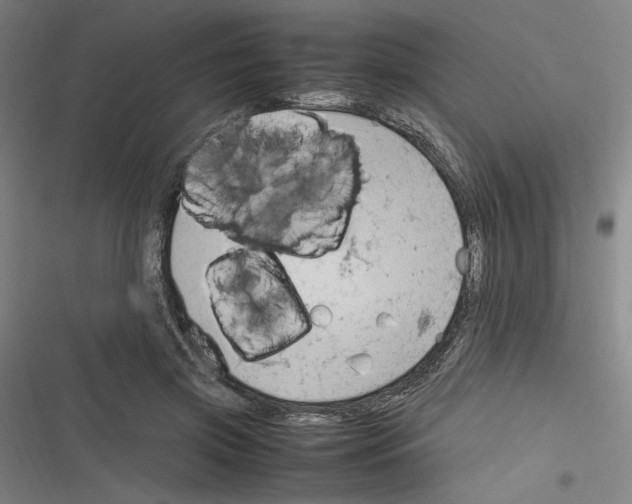 X0000116310549201001111140