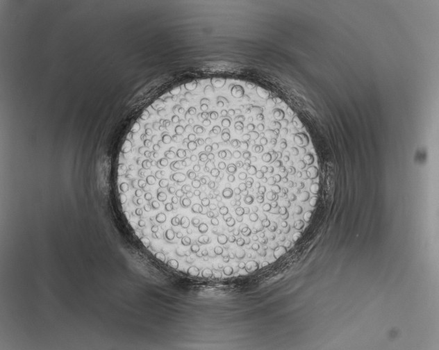 X0000116310550201001111140