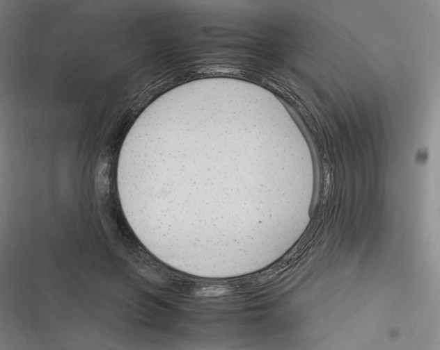 X0000116310551201001111140