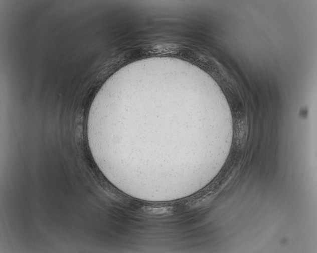 X0000116310553201001111140