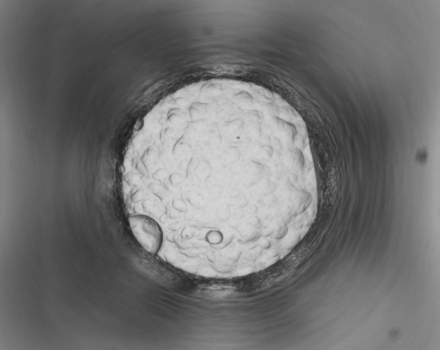 X0000116310554201001111140