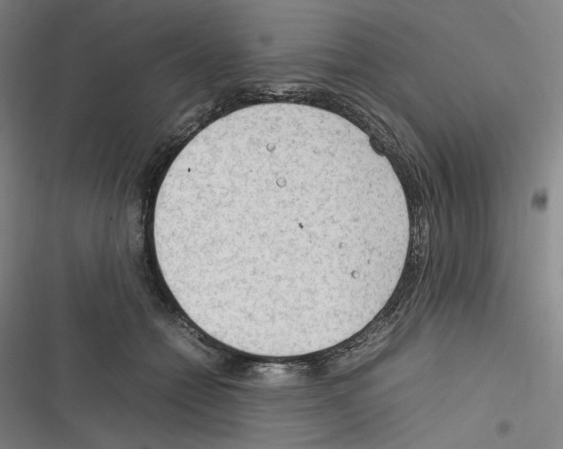 X0000116310558201001111140