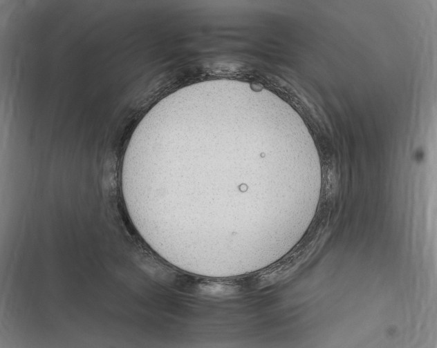 X0000116310561201001111141