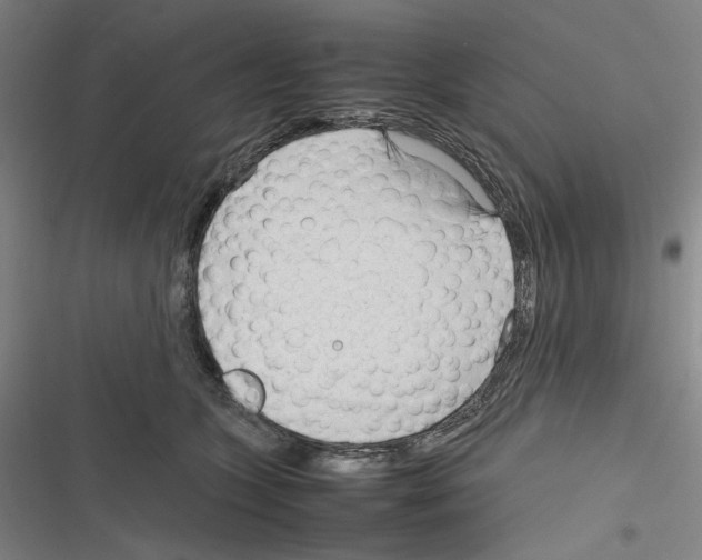 X0000116310563201001111141