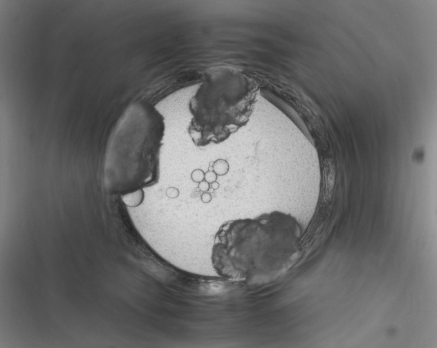 X0000116310565201001111141