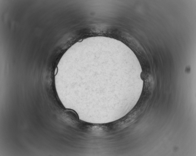 X0000116310566201001111141