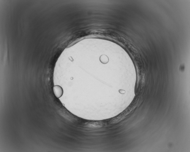 X0000116310567201001111141