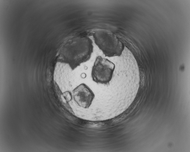 X0000116310569201001111141