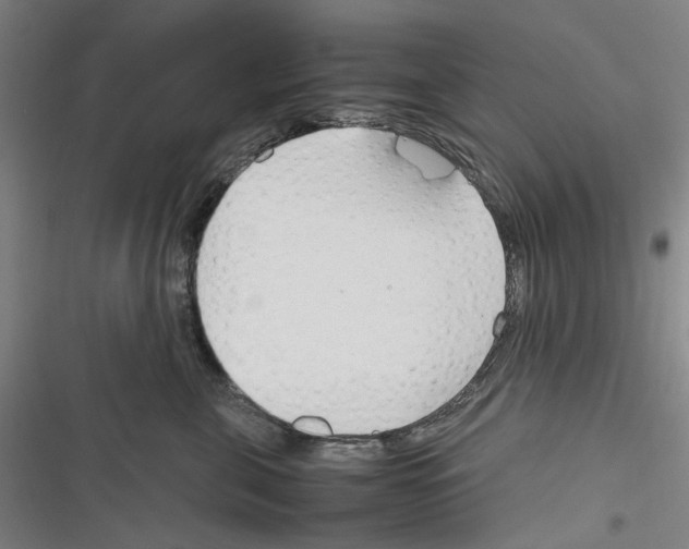 X0000116310571201001111141