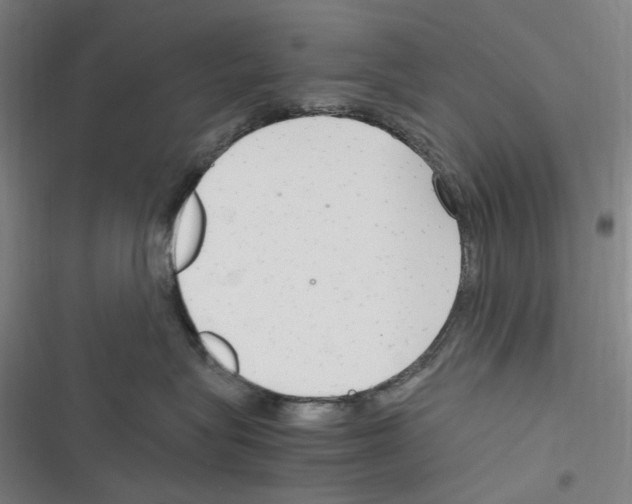 X0000116310575201001111141