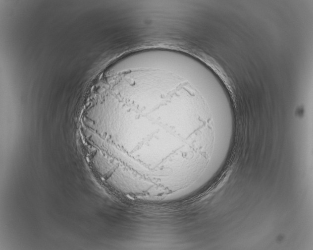 X0000116310577201001111140