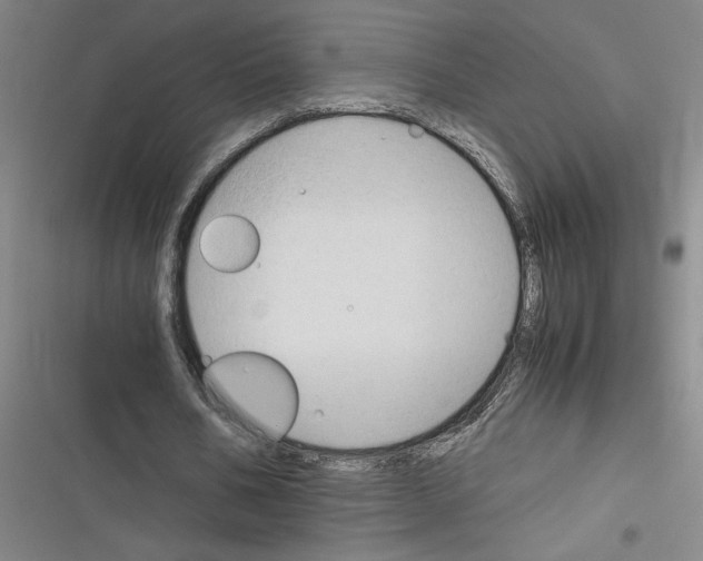 X0000116310578201001111140