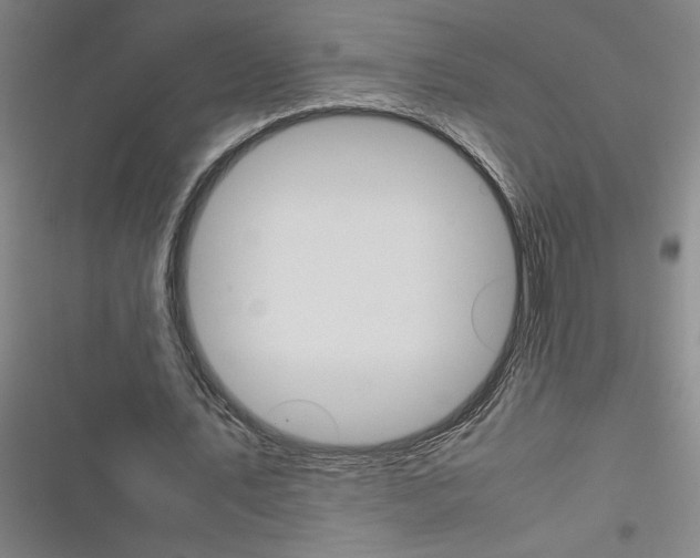 X0000116310579201001111140