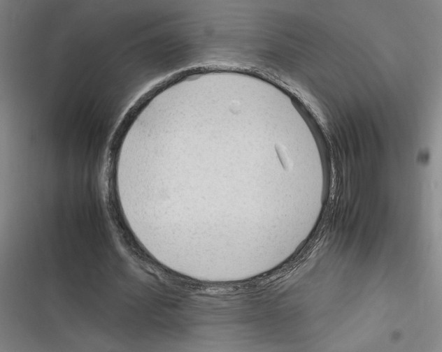 X0000116310580201001111140