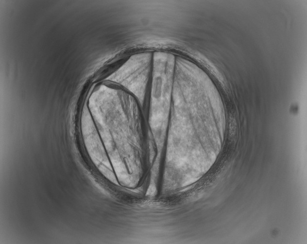 X0000116310581201001111140