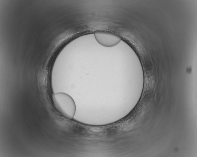 X0000116310583201001111140