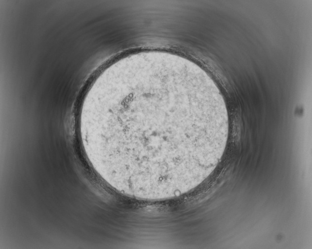 X0000116310584201001111140