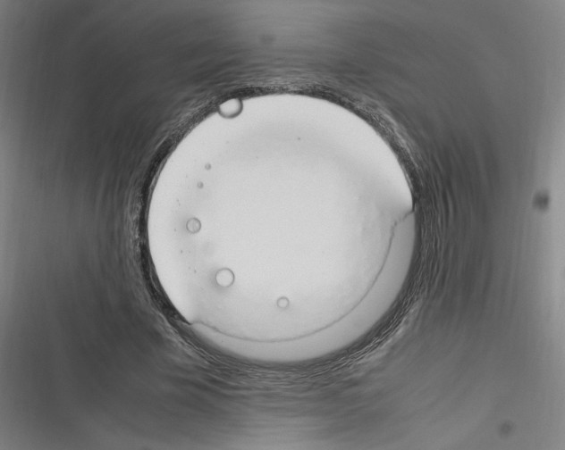 X0000116310585201001111140