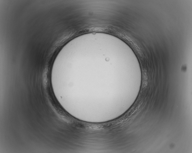 X0000116310586201001111140