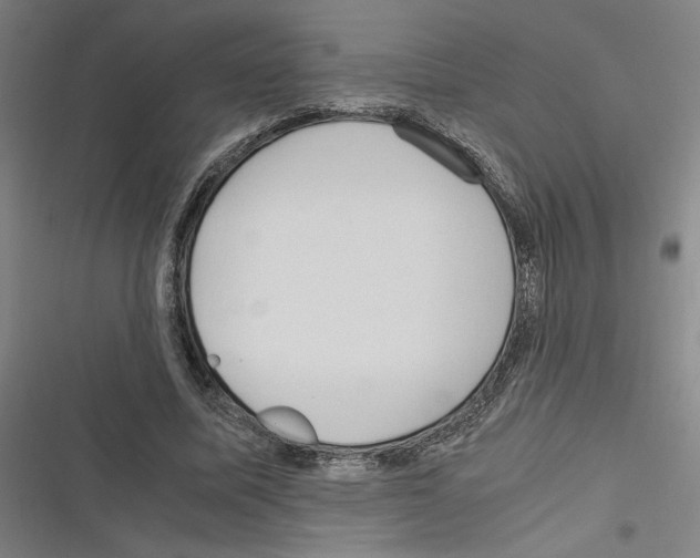 X0000116310587201001111140