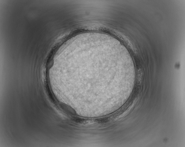 X0000116310589201001111140