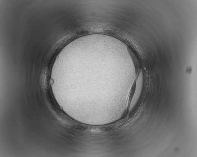 X0000116310590201001111140